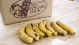 【バイヤー日記】なんと、正規品の半額以下！いい手摘み有機バナナを発見しました！